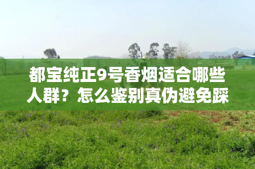 都宝纯正9号香烟适合哪些人群？怎么鉴别真伪避免踩坑？